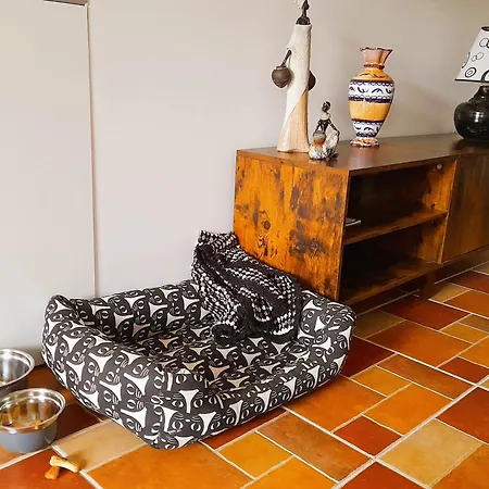 Casa Vikingo 4* San Fulgencio